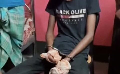 ফেনীর দাঁগনভূঞায় মাদকাসক্ত ছেলের ছুরিকাঘাতে নিহত মা