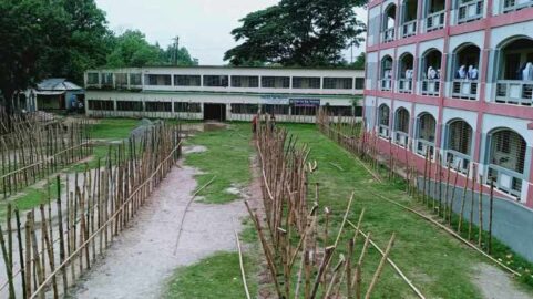 কুমিল্লায় এবারও বিদ্যালয় মাঠে পশুর হাট, ক্ষোভে ফুঁসছে শিক্ষার্থী-অভিভাবকরা