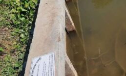 চৌদ্দগ্রাম পৌরসভায় ভুয়া প্রকল্পের ‘হরিলুট’এক কাজ দেখিয়ে দুবার অর্থ বরাদ্দের অভিযোগ