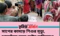 সাপের কামড়ে শিশুর মৃত্যু, ঝাড়ফুঁকে সময় নষ্টের অভিযোগ