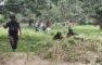 BGB foils BSF ‘push-in’ bids along Naogaon, C’nawabganj, Lalmonirhat borders