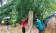 চৌদ্দগ্রামে প্রভাবশালীর যাতায়াতে সমস্যা দেখিয়ে জোরপূর্বক বিধবার বাড়ির ভাউন্ডারী দেয়াল ভাংচুর