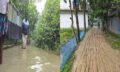 নাঙ্গলকোটের পানকরা সড়কের বেহাল দশা, দুর্ভোগে তিন হাজার মানুষ